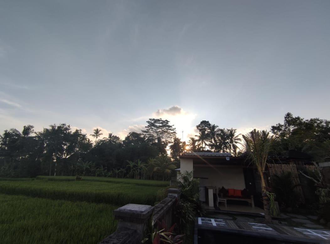 Anggarakasih Ubud Villa Dış mekan fotoğraf